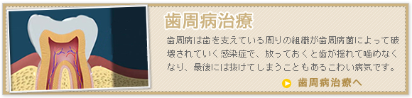 歯周病治療 歯周病は歯を支えている周りの組織が歯周病菌によって破壊されていく感染症で、放っておくと歯が揺れて噛めなくなり、最後には抜けてしまうこともあるこわい病気です。